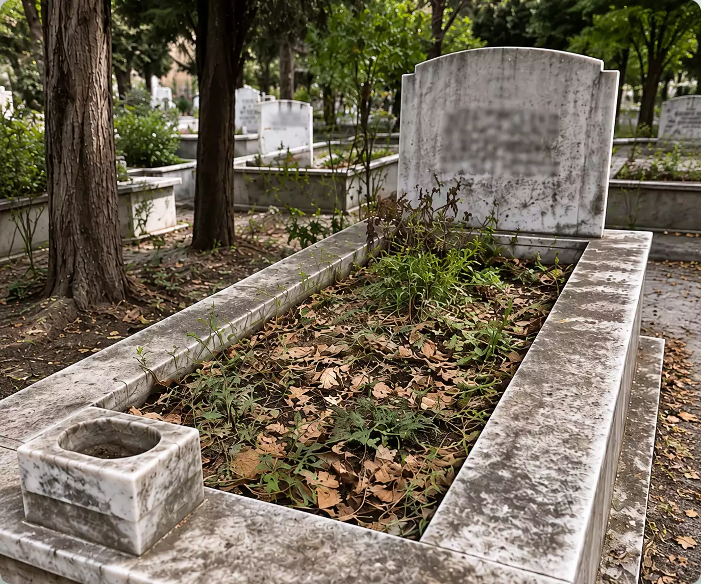 Mezar bakım işlemi öncesindeki mevcut durum